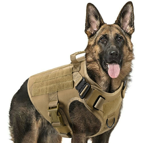Militär Hundegeschirr🐕