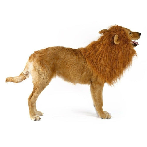 Hunde Perücke im Löwen Design 🦁