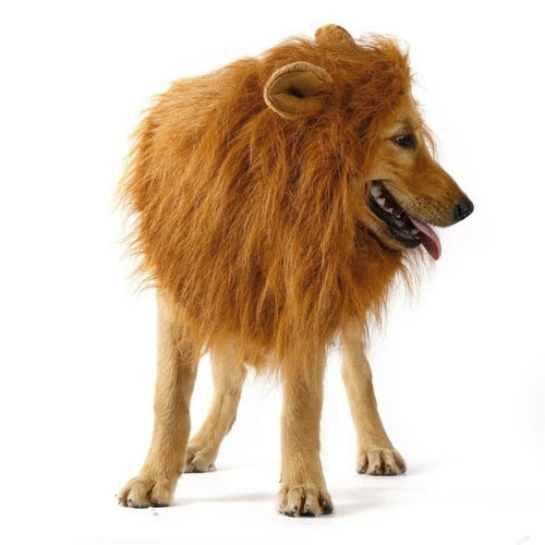 Hunde Perücke im Löwen Design 🦁